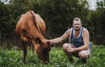 Grass Fed Jersey Whole Milk - Taw River Dairy
