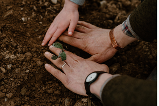 Finding Connection With Your Food, by Will Norton | Journal Post Pipers Farm x Rootle Supper Club In The Stables Flete Estate Devon | Seasonal Sustainable Eating Living Dining 