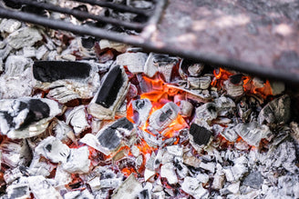 How to Have a Sustainable Barbecue