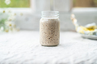 Sourdough Starter