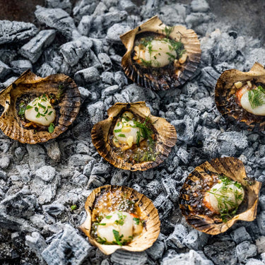 Fire Cooked Scallops with Herby Garlic Butter