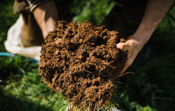 The Importance of Soil Health