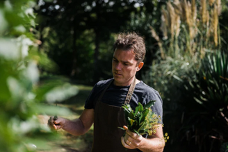 Gill Meller's Autumnal Reflections