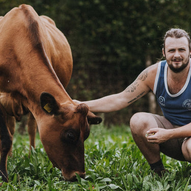 Meet the Producer: Taw River Dairy