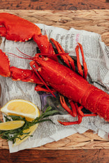 Atlantic Wild-Caught Whole Cooked Lobster