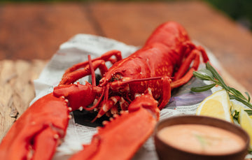 Atlantic Wild-Caught Whole Cooked Lobster