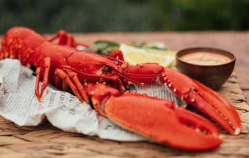Atlantic Wild-Caught Whole Cooked Lobster