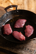 Wild Wood Pigeon Breasts