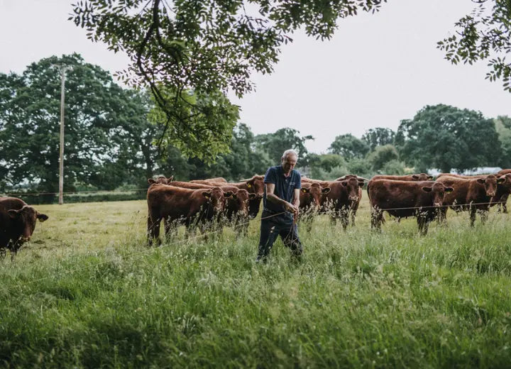 Grass Fed Beef Flat Iron Steak - Red Ruby Grass Fed Beef, Cullompton