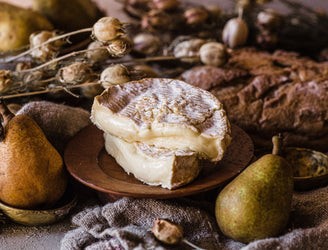 Hampshire Cheese Co, Tunworth